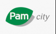 logo - Pam city
